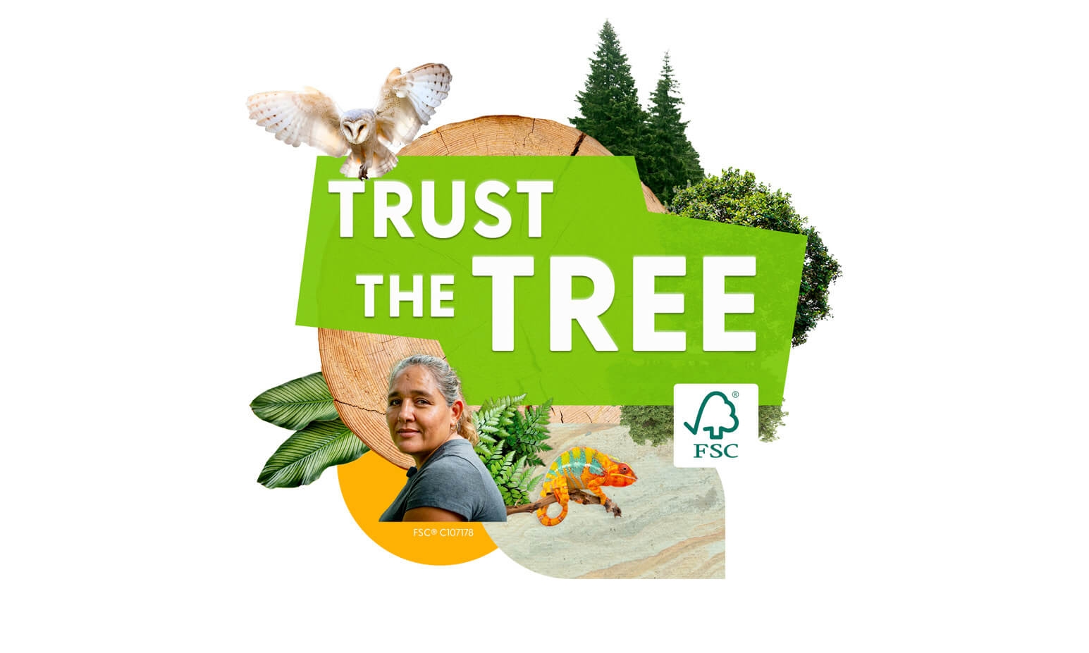 Terraneo si unisce alla FSC Forest Week 2023 | Terraneo